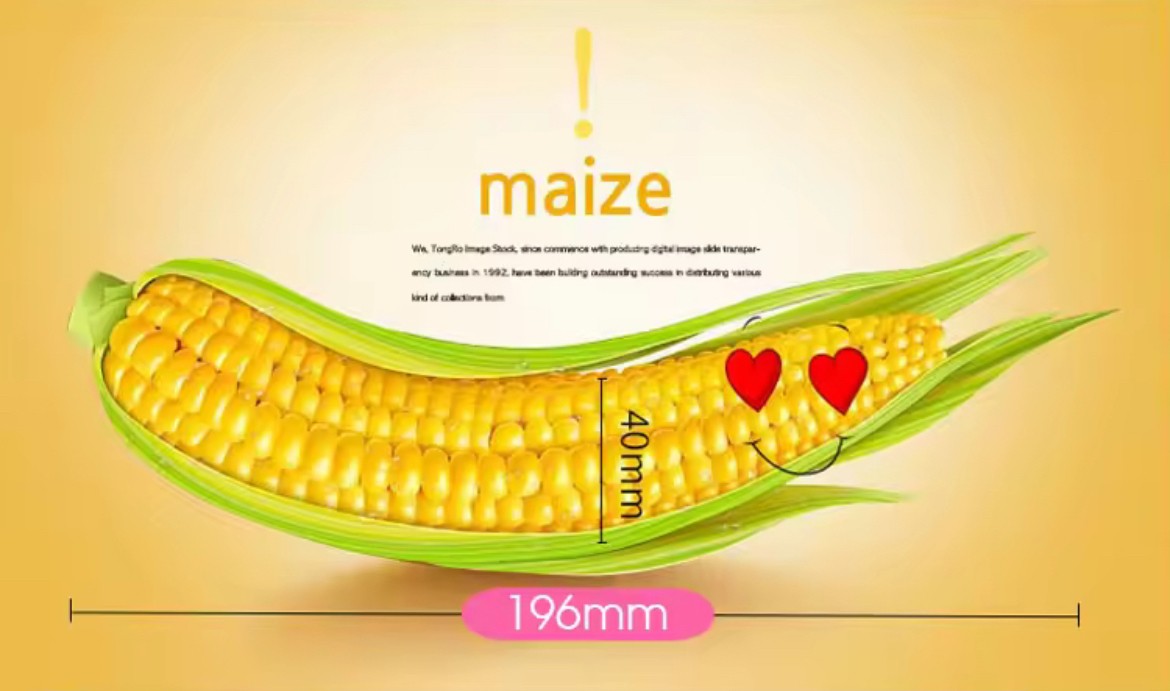 Dương vật giả ngụy trang hình Trái bắp 6